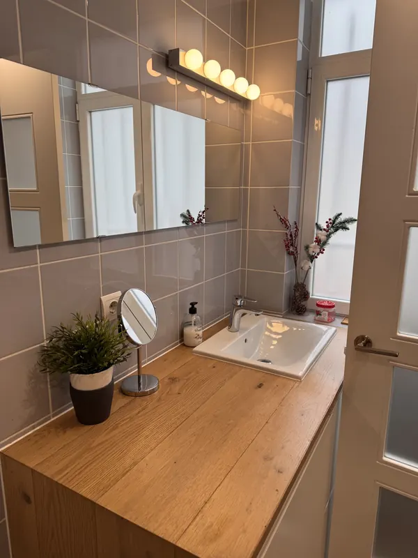 Baño con encimera de madera, espejo y una planta