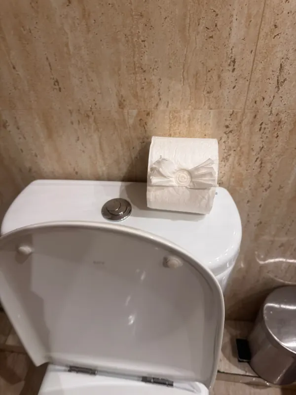 Papel higiénico doblado con un lazo sobre la cisterna, un detalle del baño